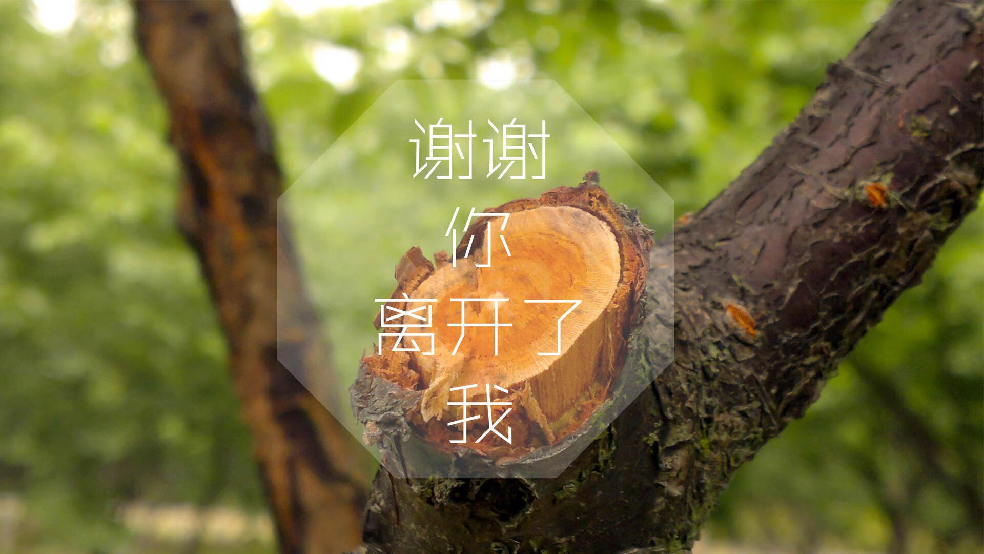 欧洲球队选拔新秀，培养未来篮球明星，欧洲著名篮球队