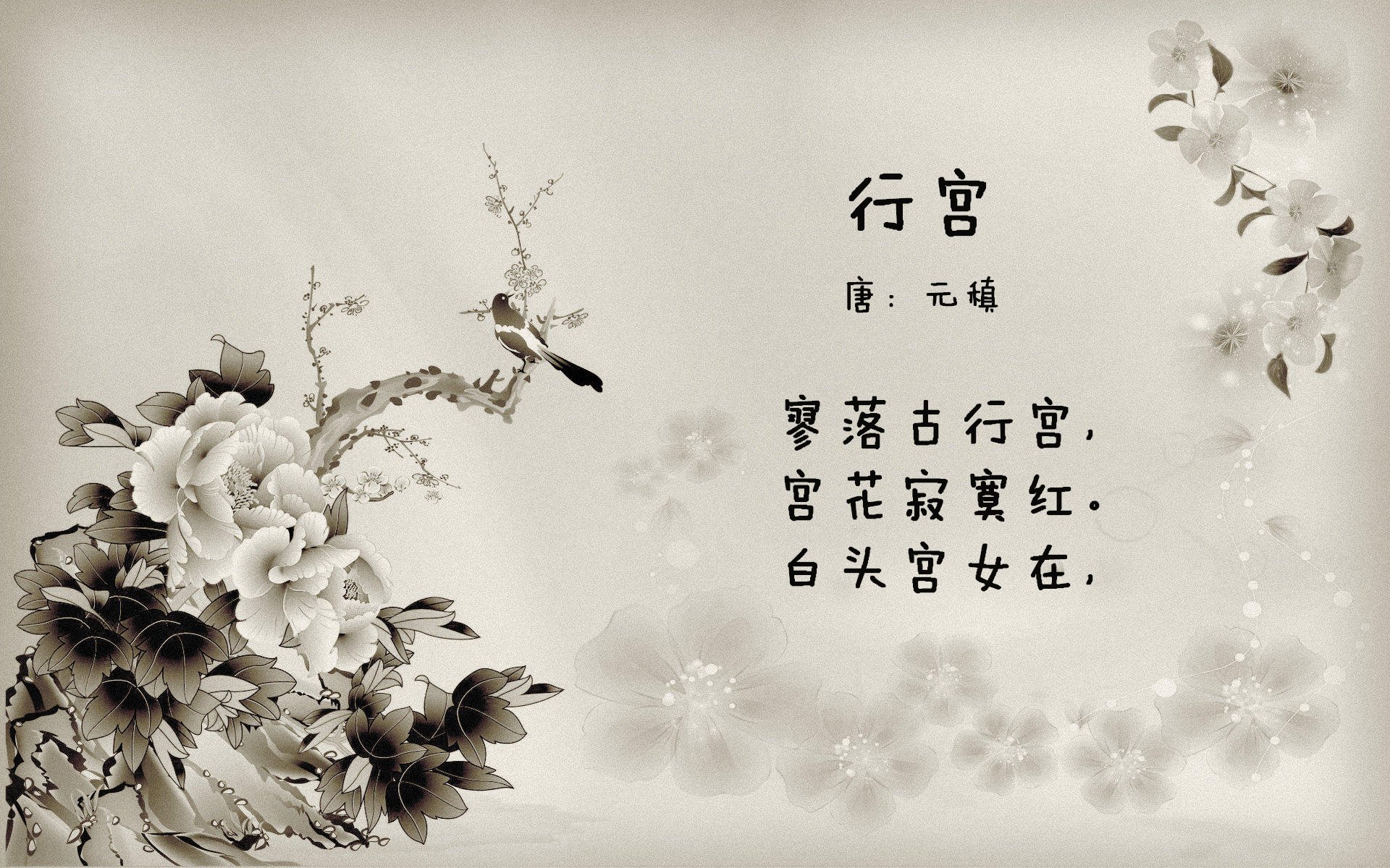 精心策划的比赛中球员们奋力拼搏，展现出色实力，球员们在赛场上展现