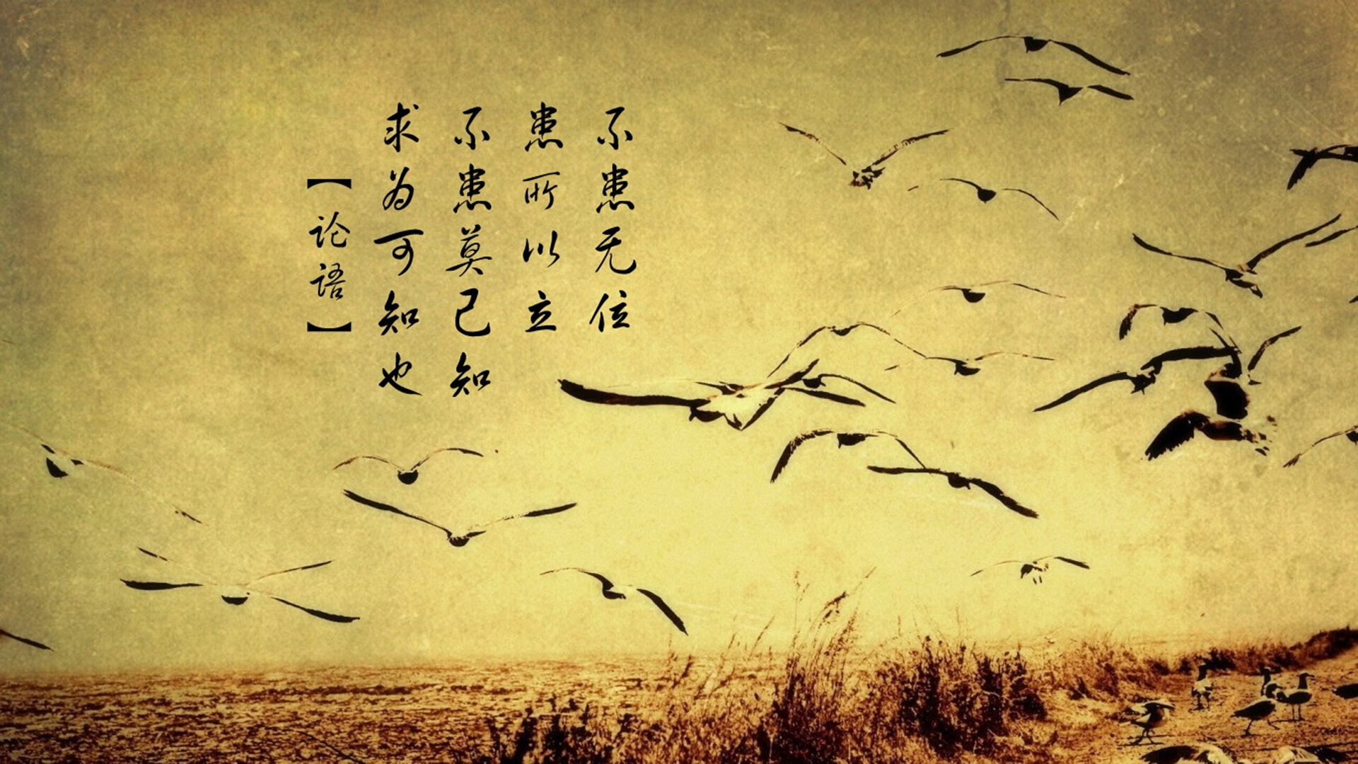 阿斯顿维拉主场4-1大胜曼联，赛季双杀红魔，阿斯顿维拉对曼城比分预测