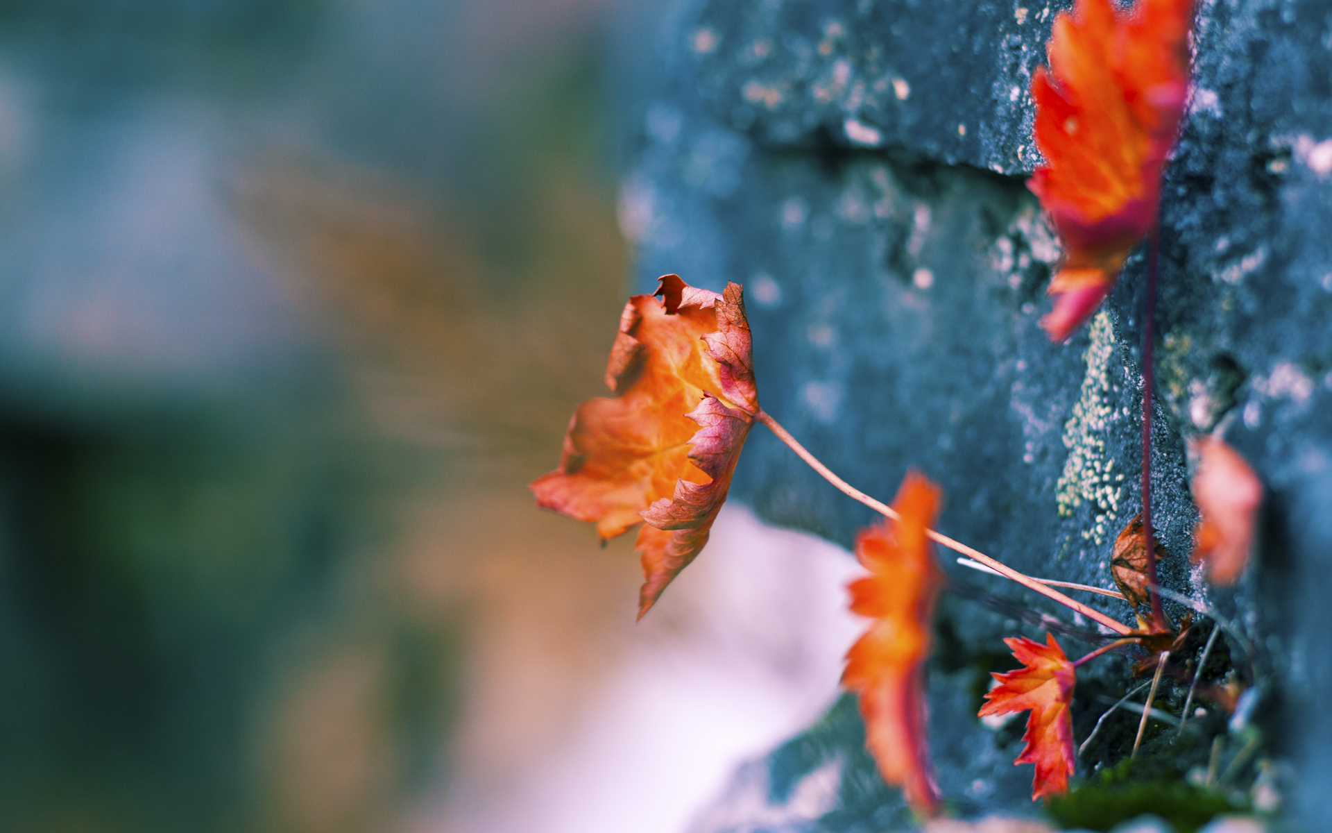 爱游戏娱乐-英超青训心理问卷评估系统用于预测技战术执行稳定性，英超各队青训球星