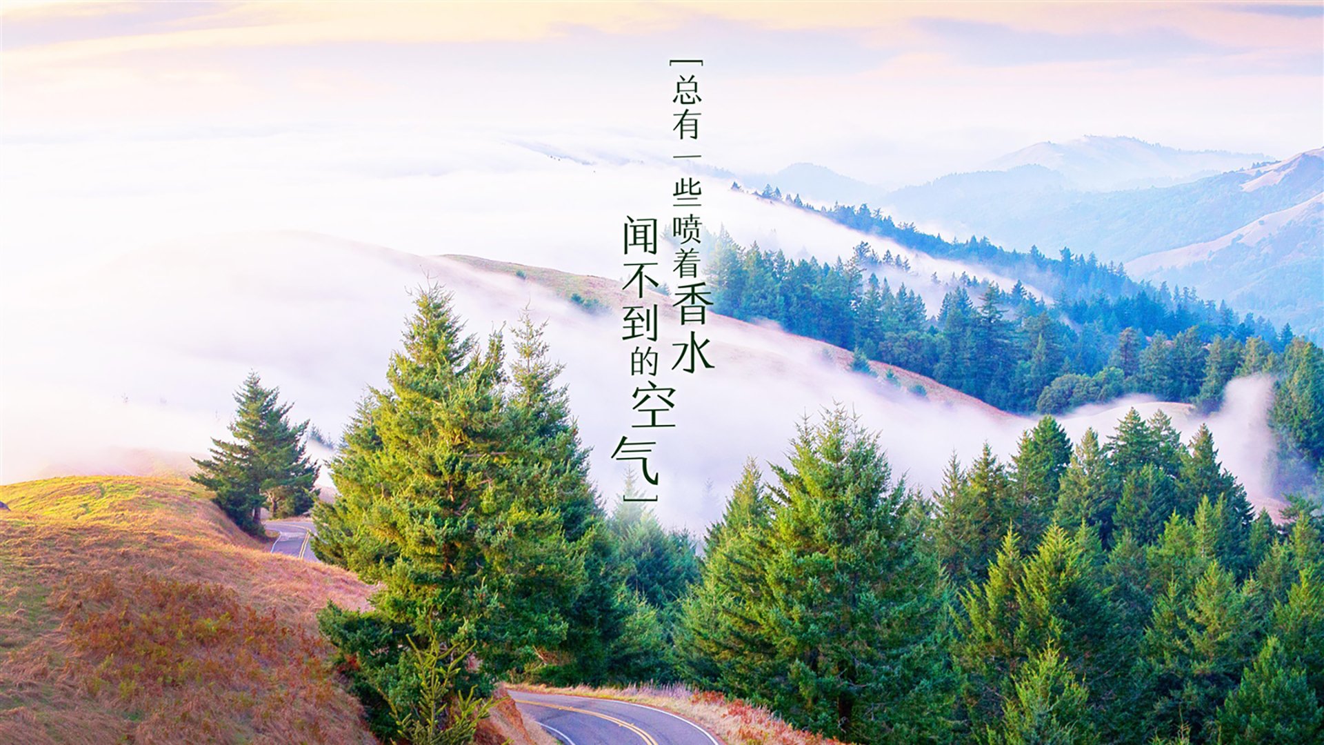 “新加坡泳池挑战赛：世界游泳锦标赛冲刺阶段”