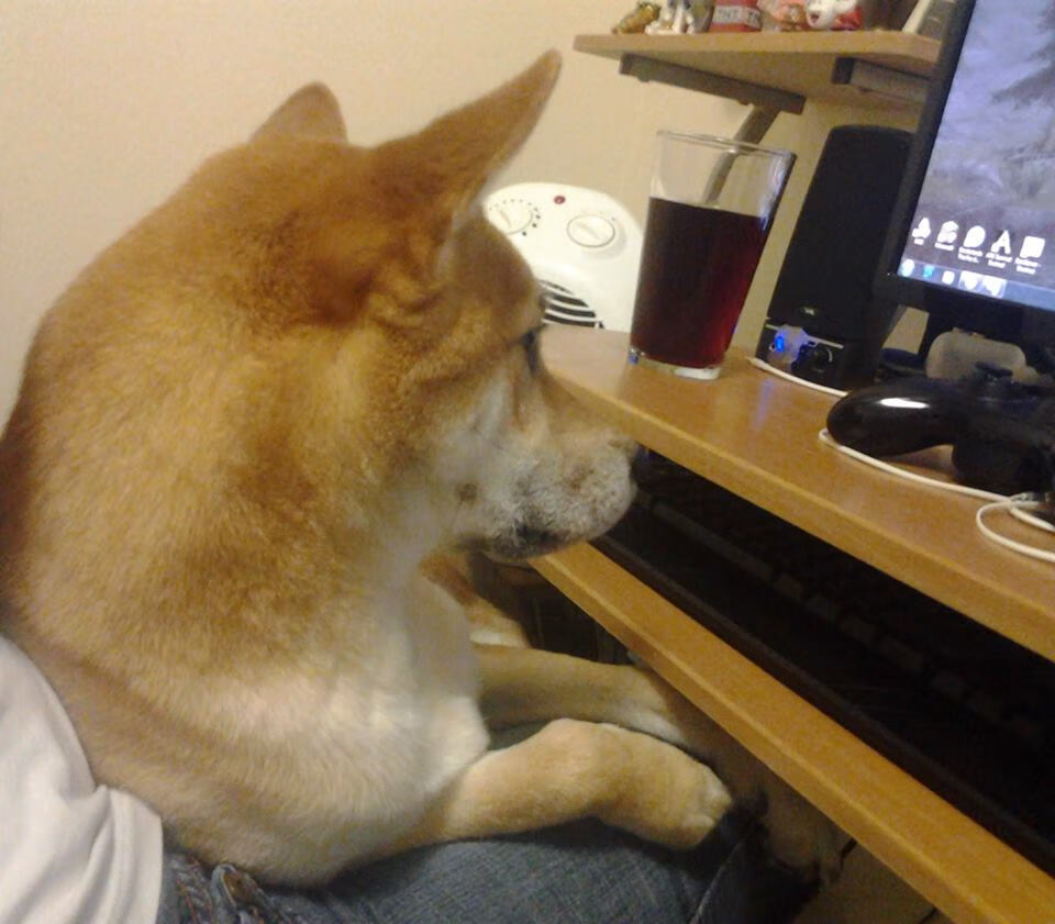 中国篮球协作多方资源推动篮球文化传播，浅谈中外篮球文化