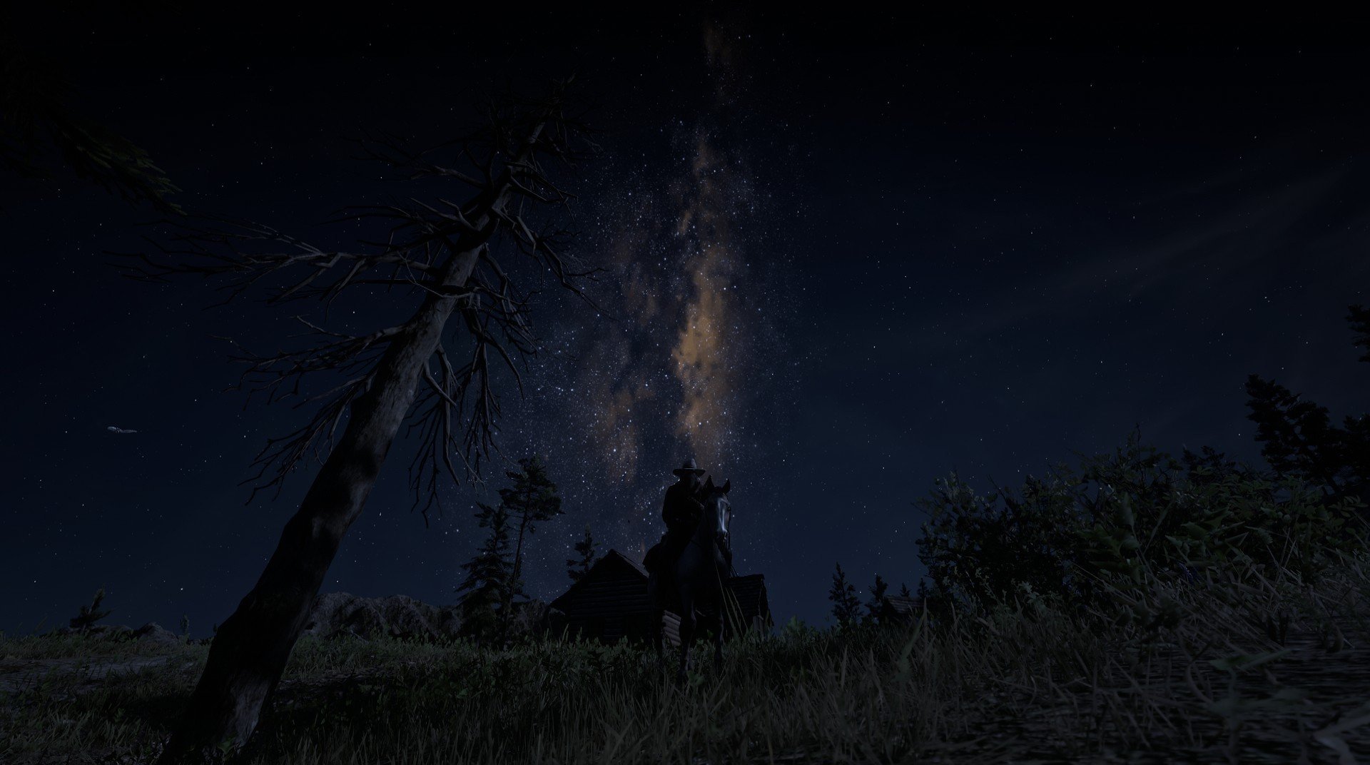 南非跳水新秀勇夺高分,非洲跳水