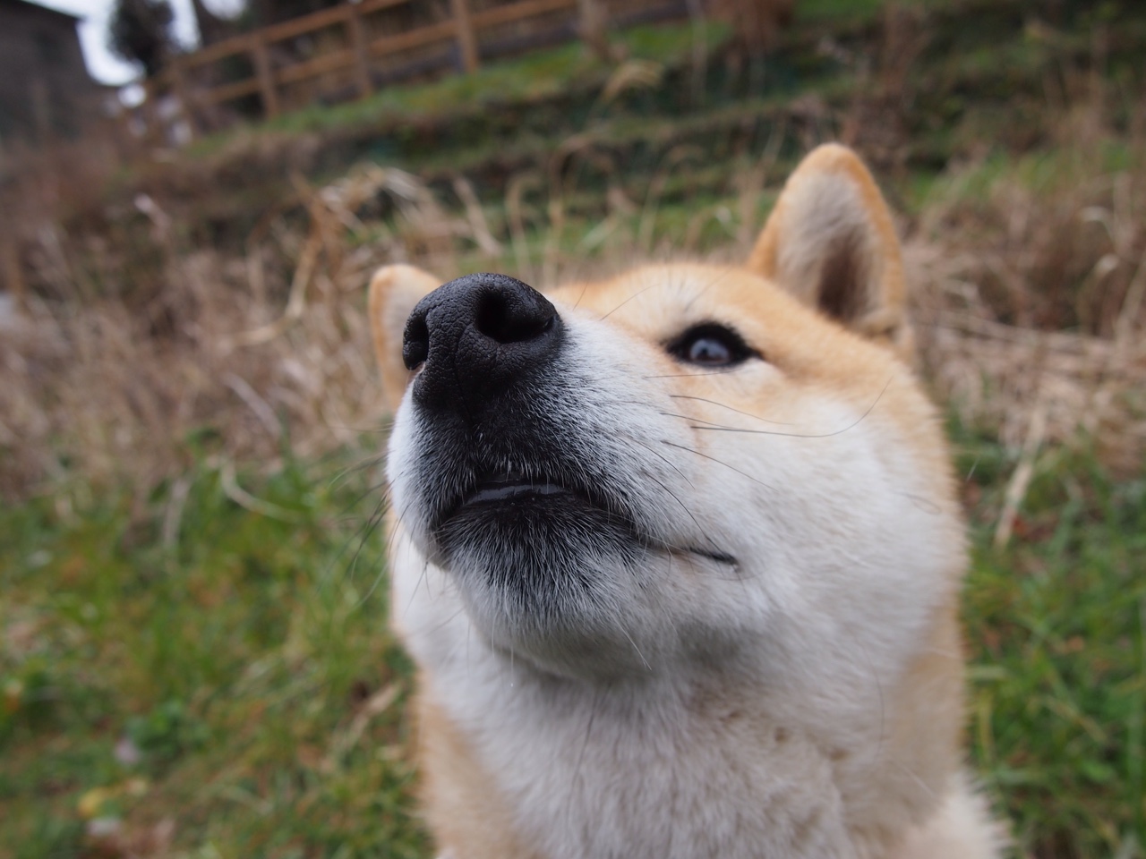 卢旺达男篮在非洲锦标赛中勇夺佳绩，体育影响力不断扩大，卢旺达非洲第一