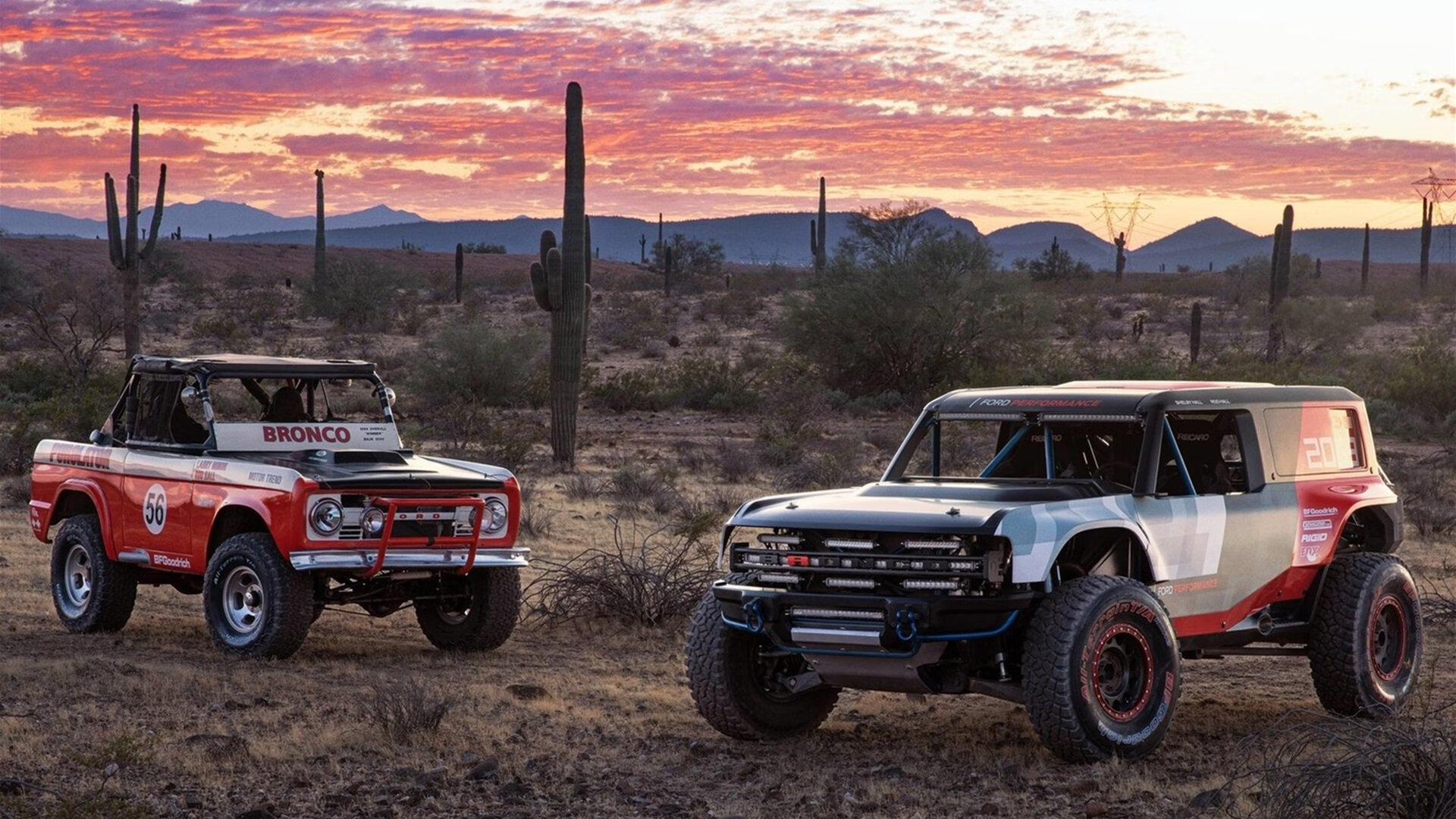 国际青年足球锦标赛全面开战，未来之星纷纷亮相，国际足联世界青年足球锦标赛