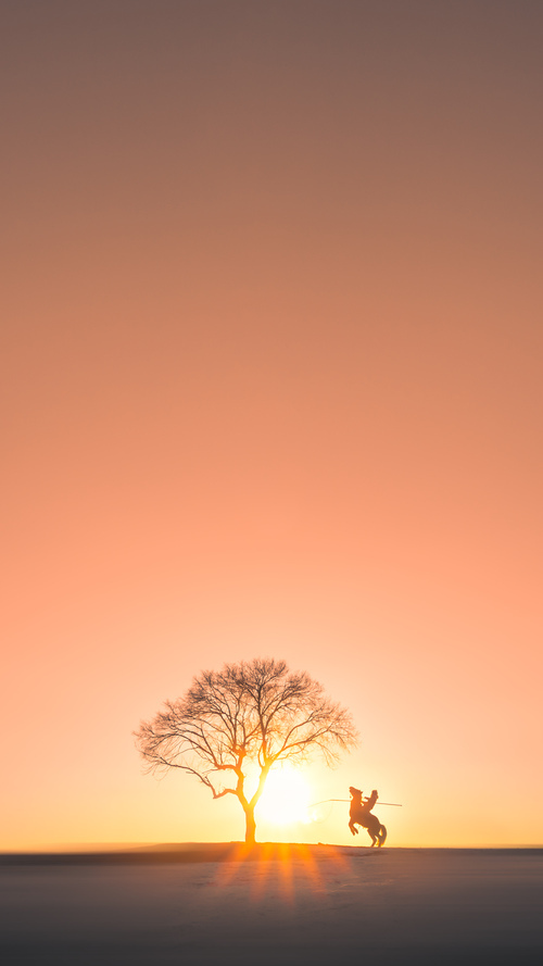 意甲战力比拼：场场激烈，精彩纷呈，意甲队伍排名