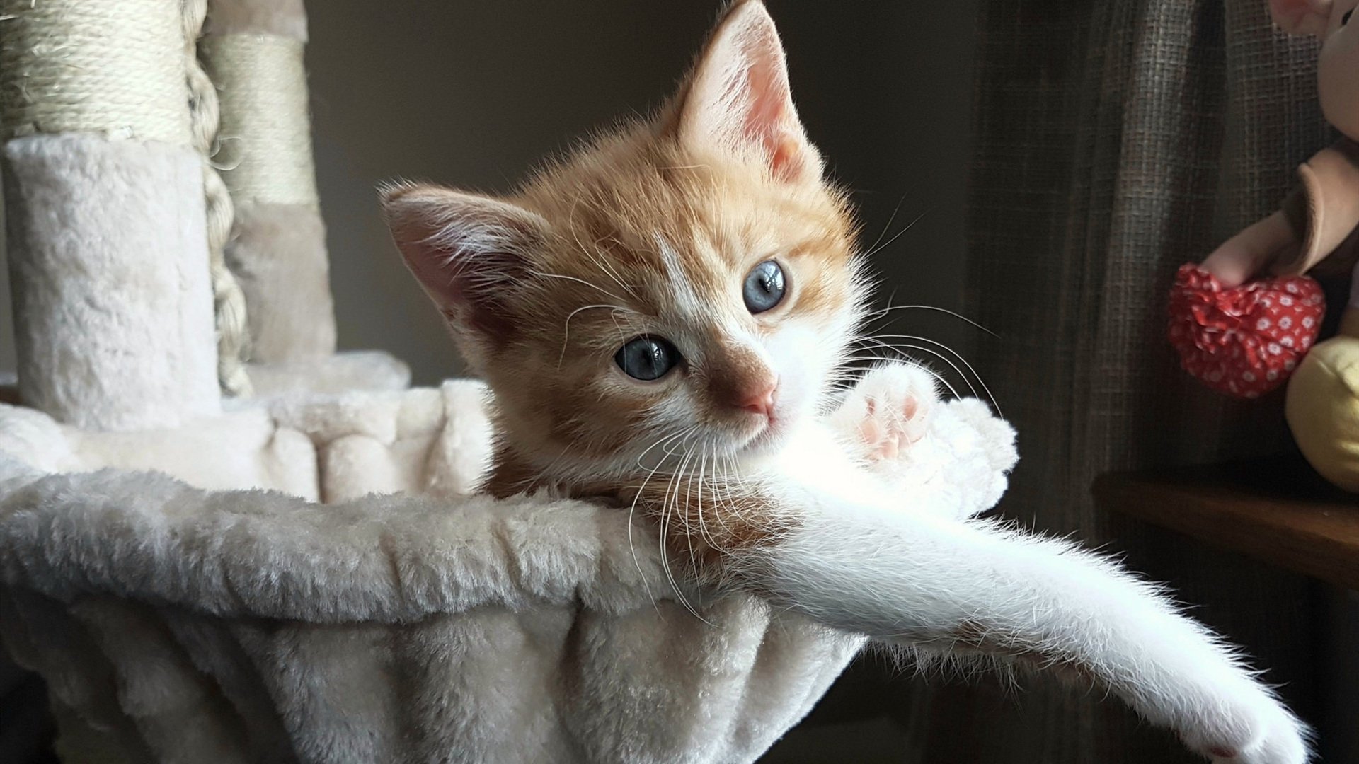 爱游戏电竞-英国男子接力赛展现强大团队实力，英国女子4x100接力冠军