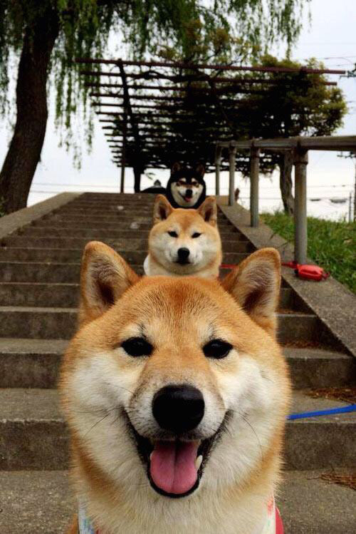 莱谢恩·卡萨斯后程爆发力惊艳全场，莱恩卡斯滕