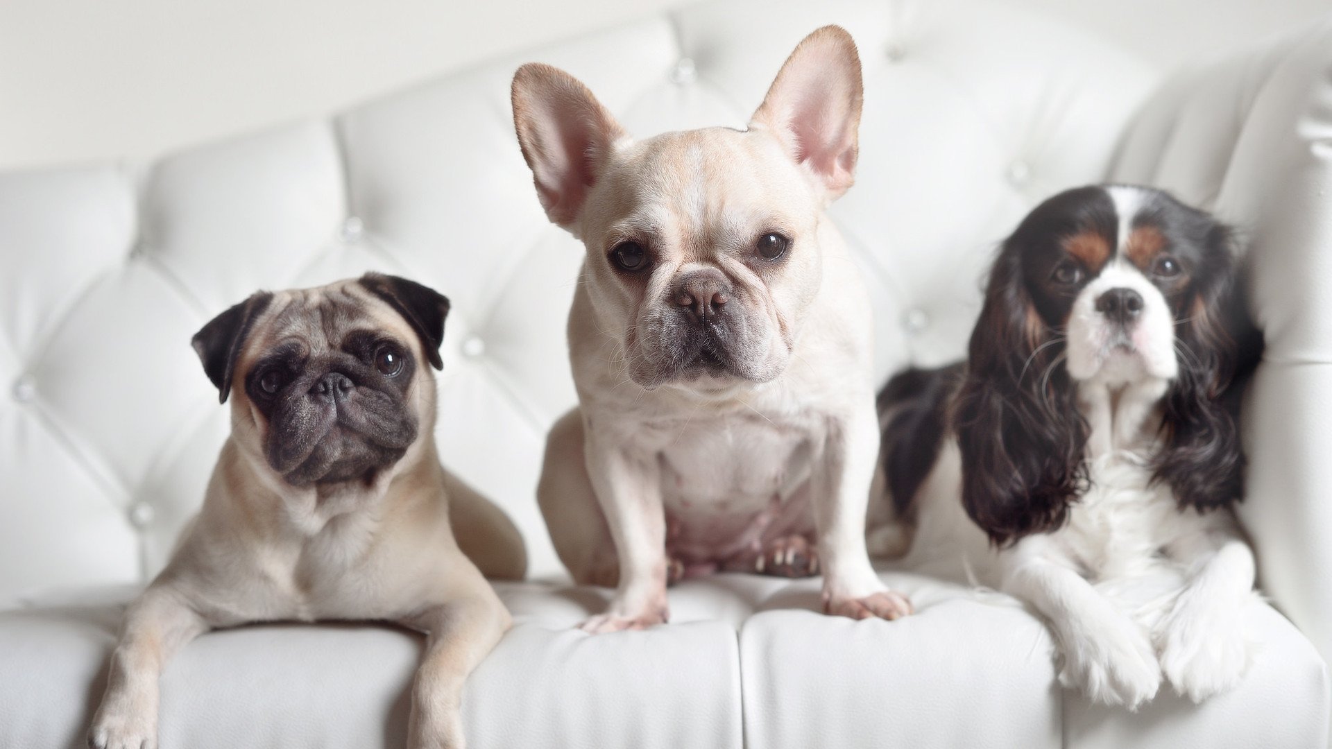 马刺训练日主帅重点讲解无球移动，马刺的口令